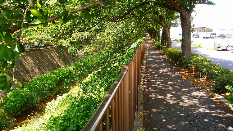三沢川遊歩道の木陰